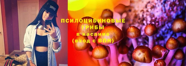 амф Верхний Тагил