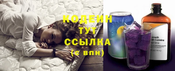 прущие грибы Верея
