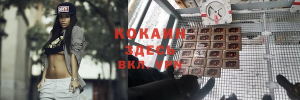 прущие грибы Верея