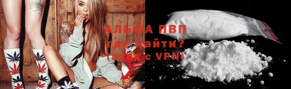 прущие грибы Верея