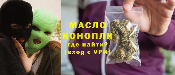 амф Верхний Тагил
