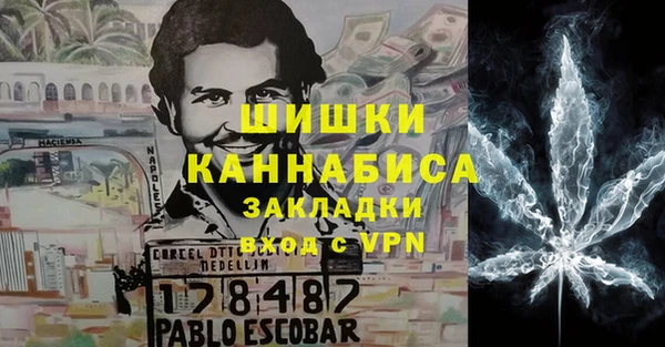 прущие грибы Верея