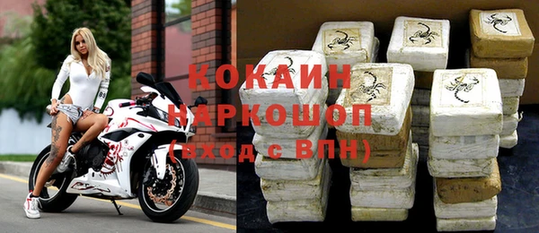 прущие грибы Верея