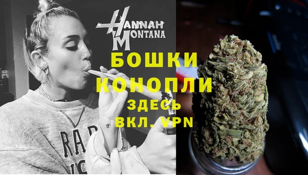 амф Верхний Тагил