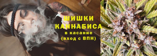 амф Верхний Тагил