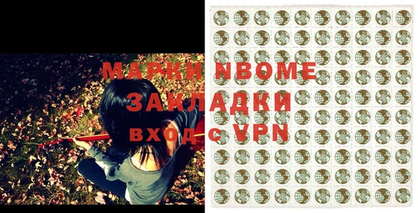прущие грибы Верея