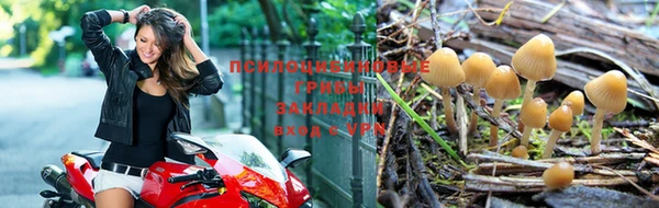 твердый Майский
